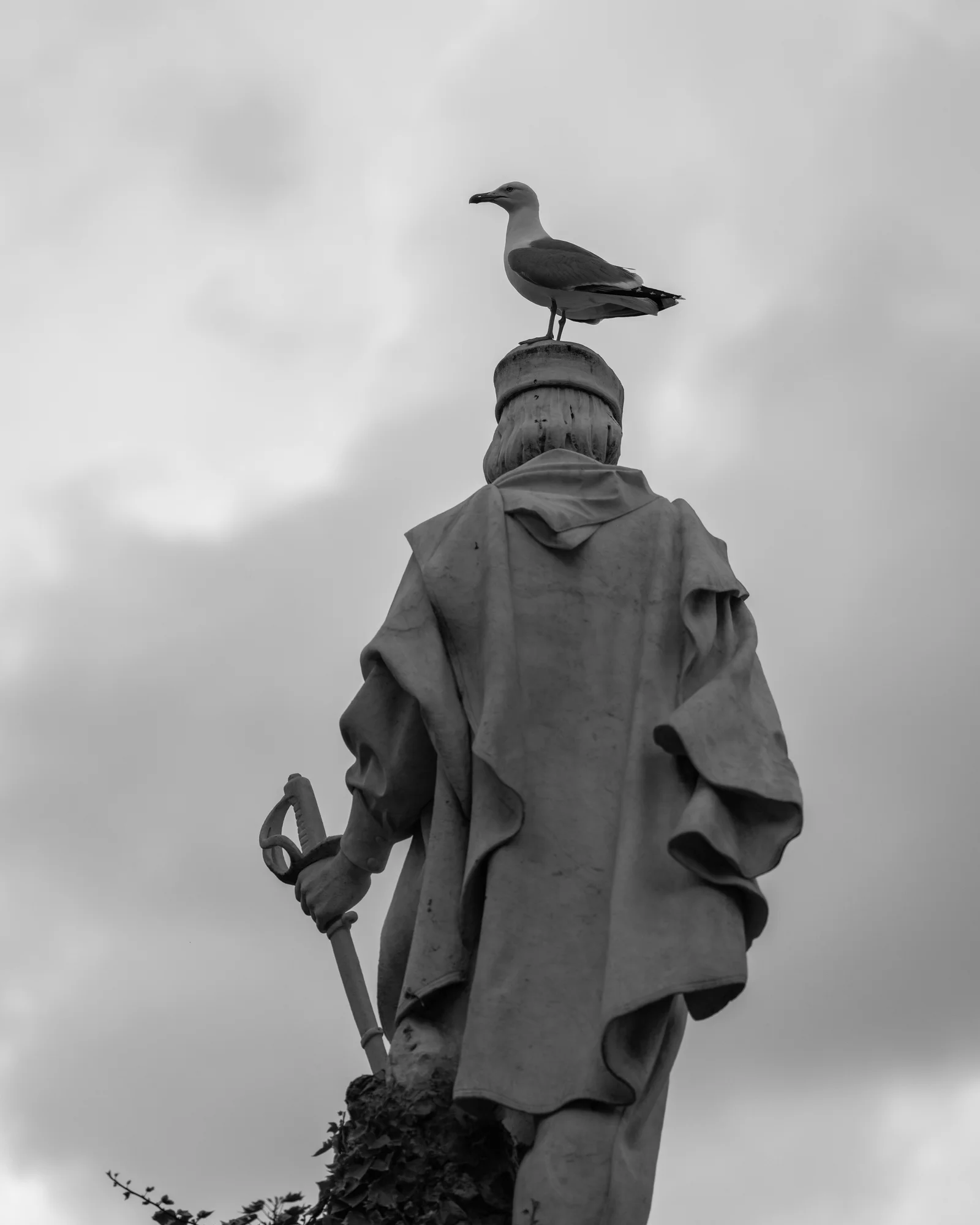 Image 28