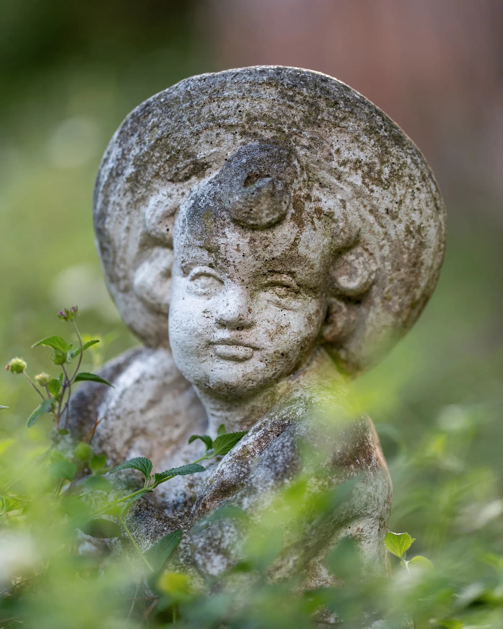 Image 76