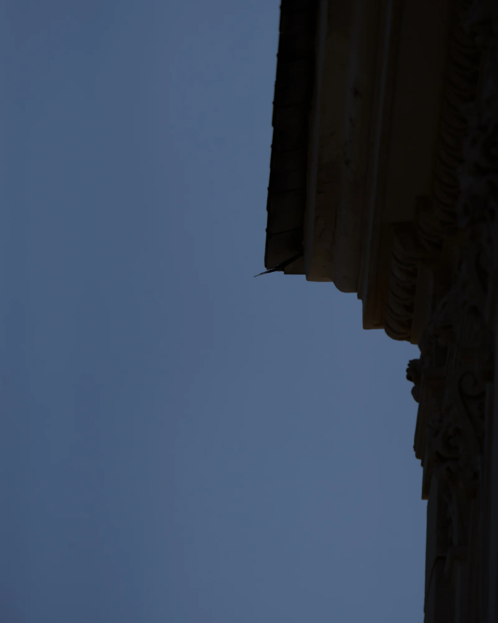 Image 58