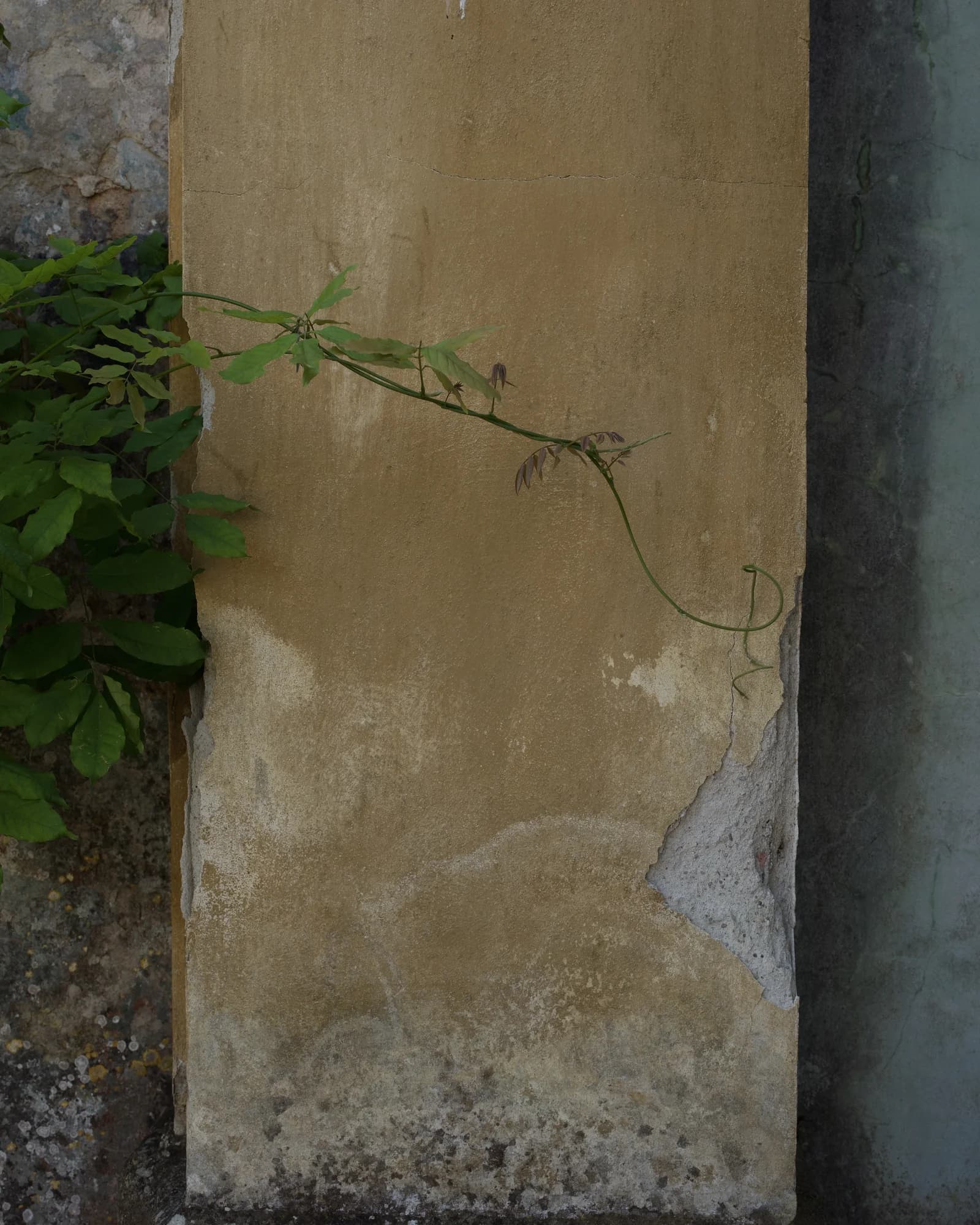 Image 21