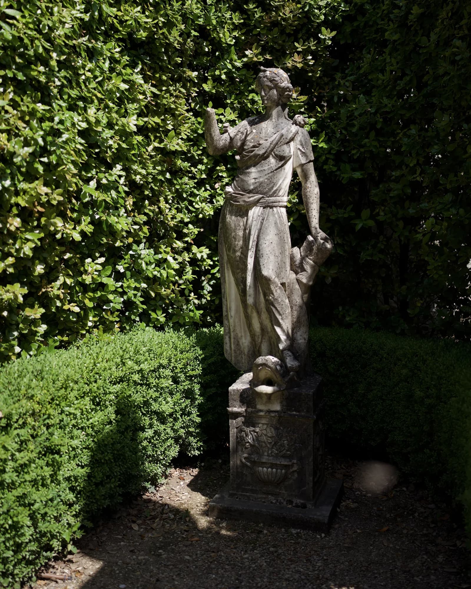 Image 15