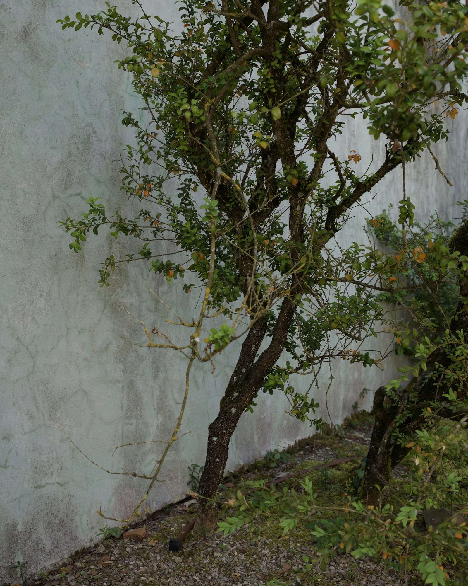Image 46