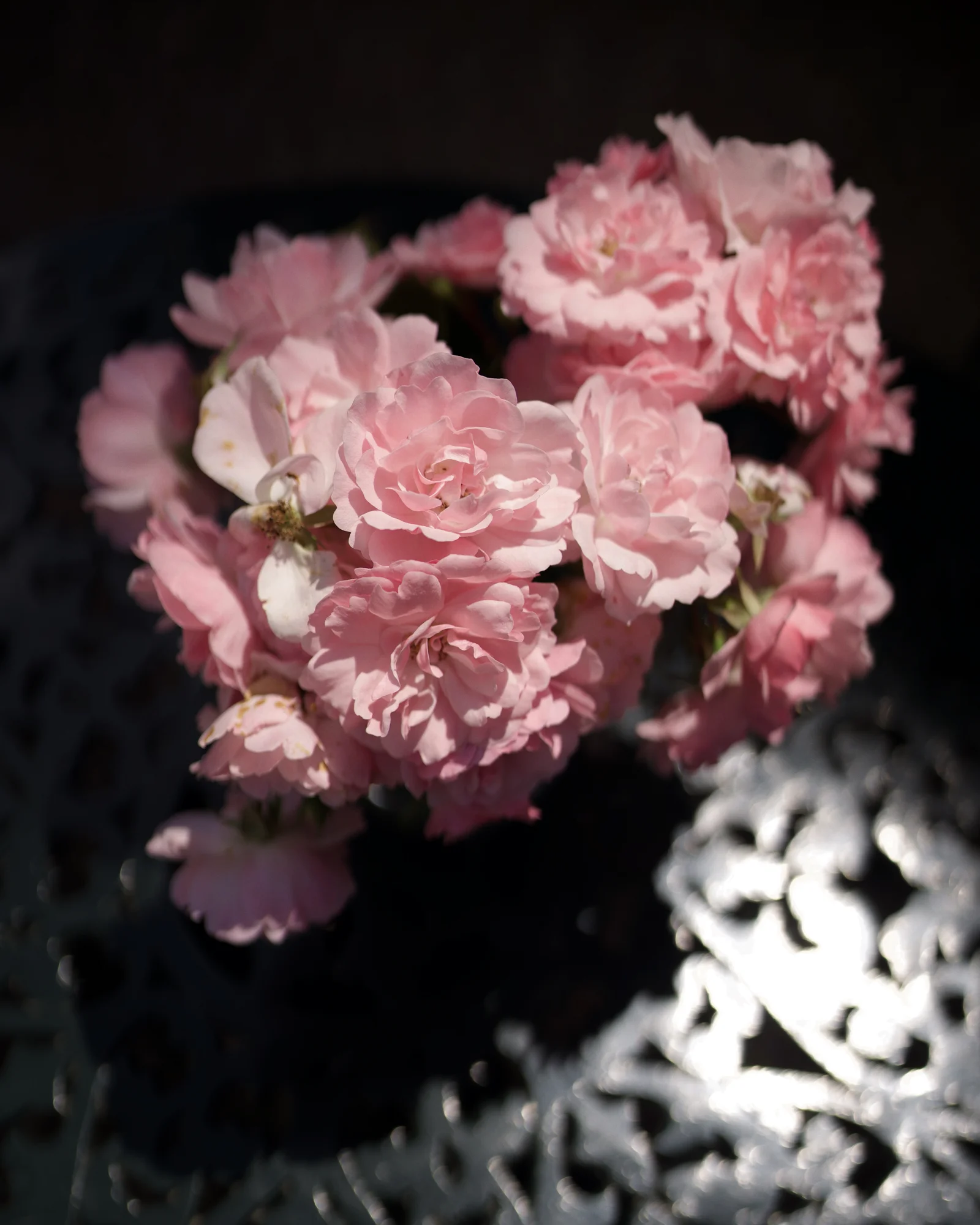 Image 13