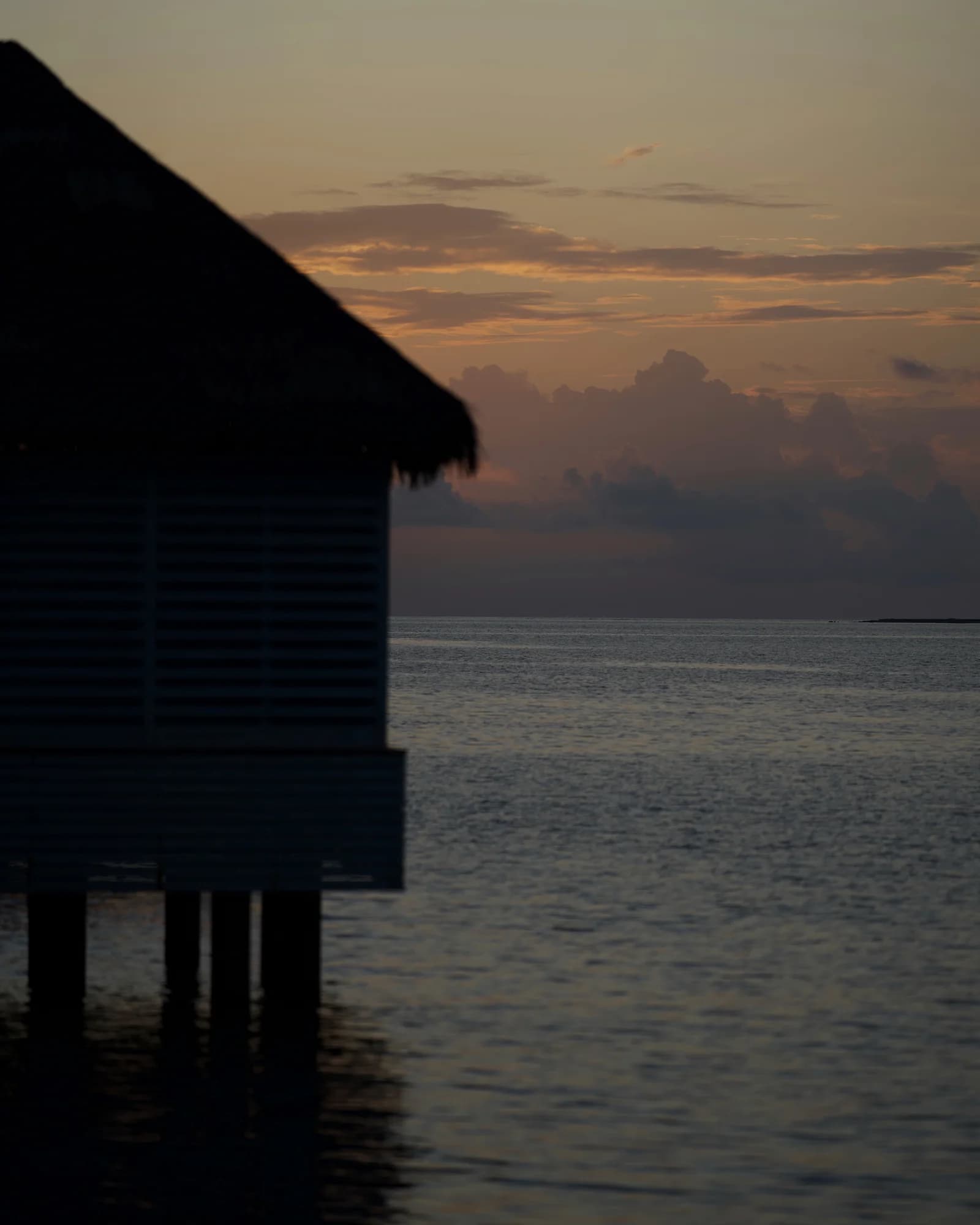 Image 31
