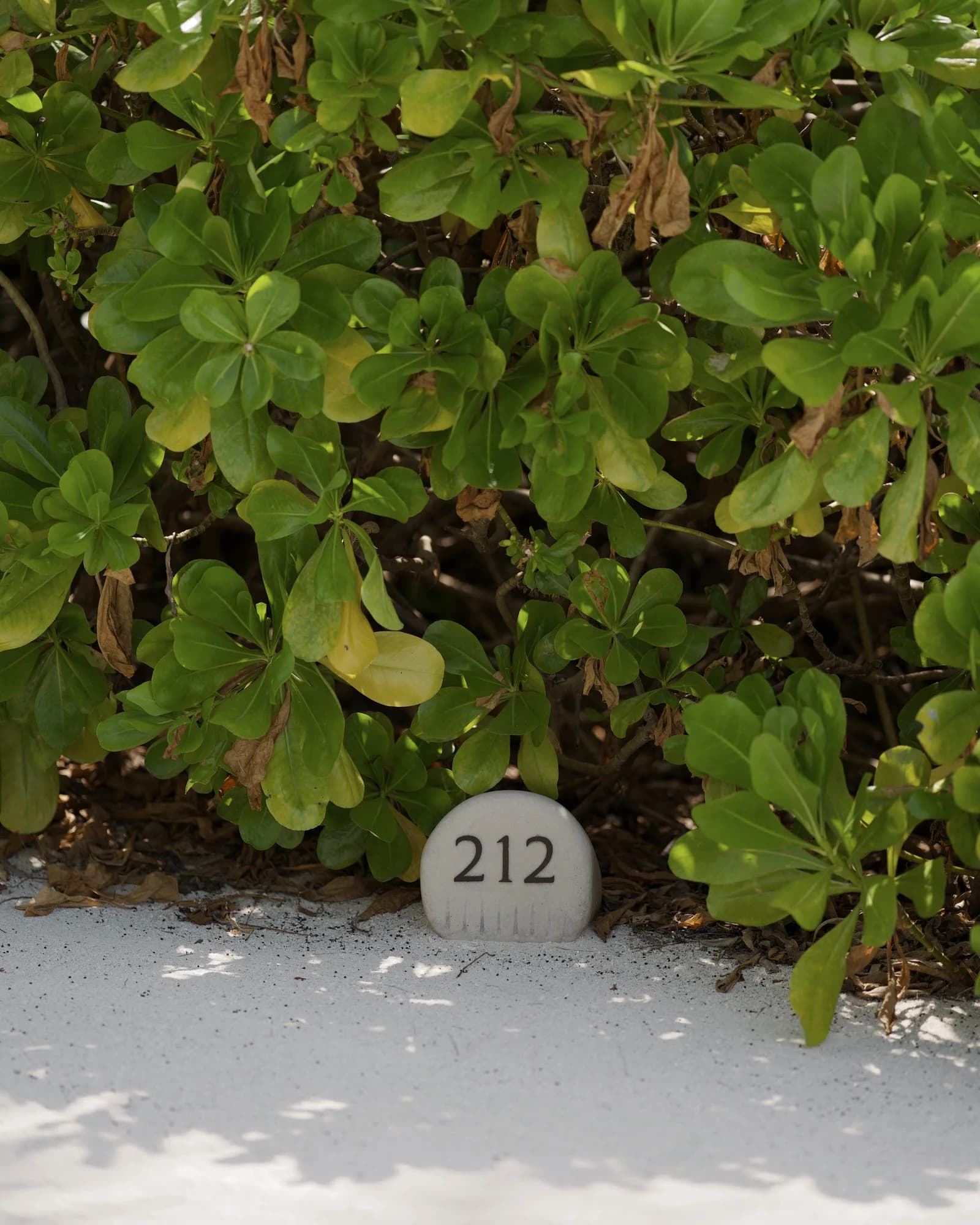 Image 17