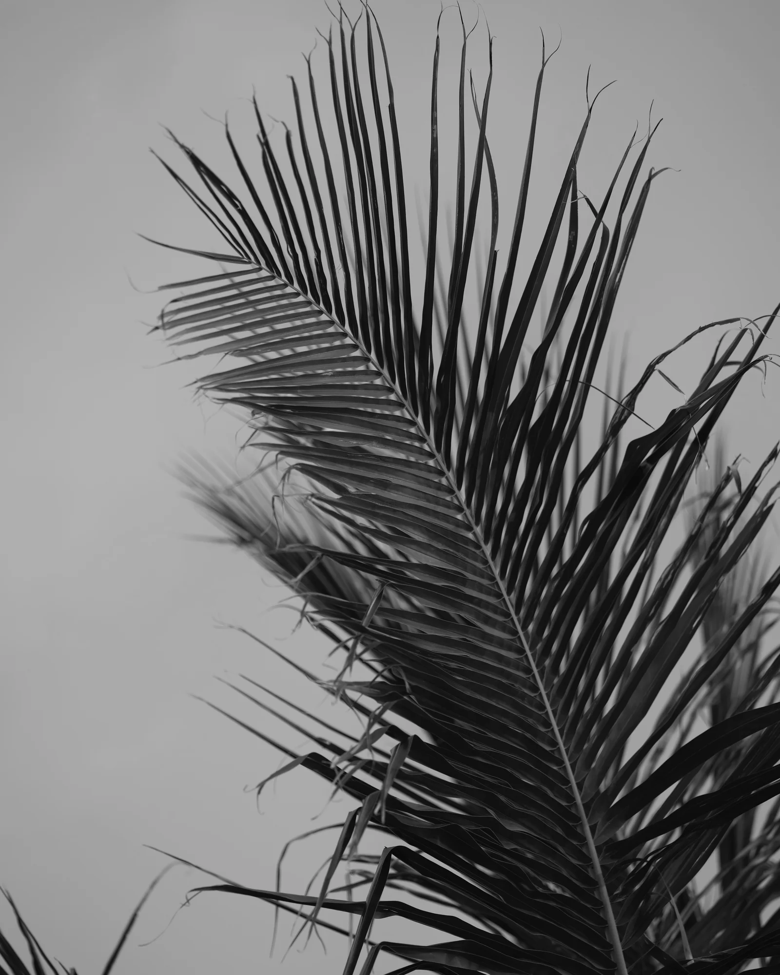 Image 78