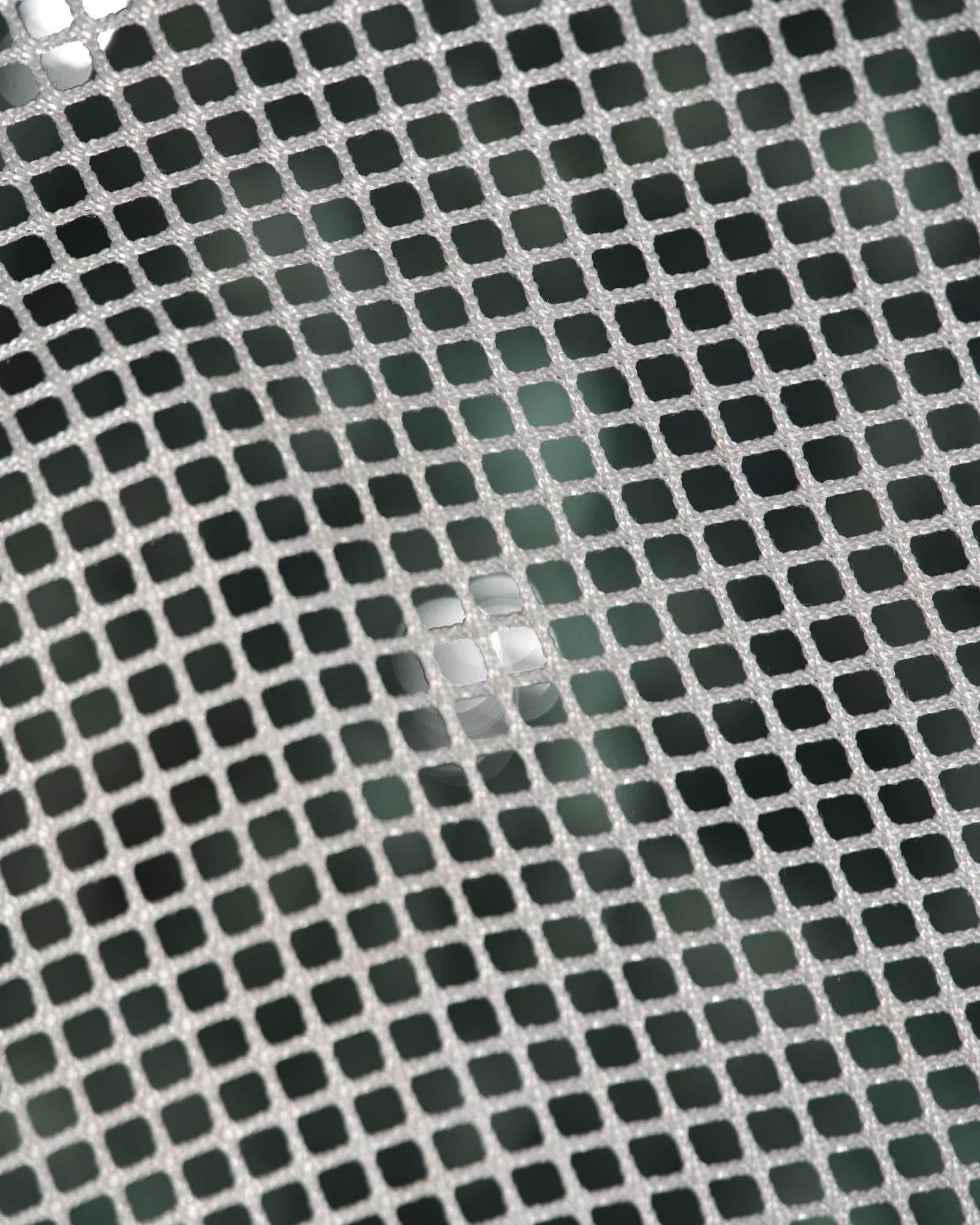 Image 81