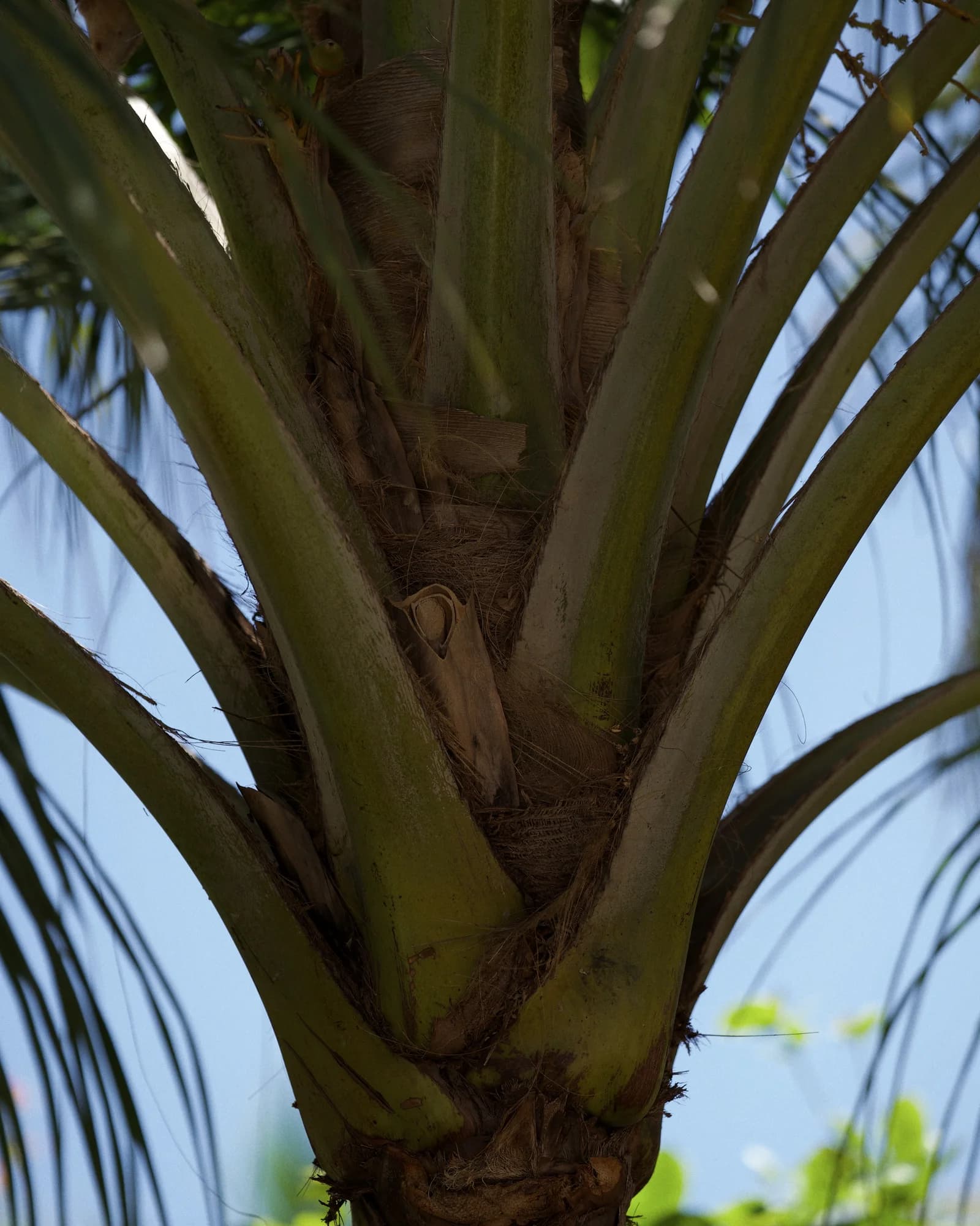Image 101