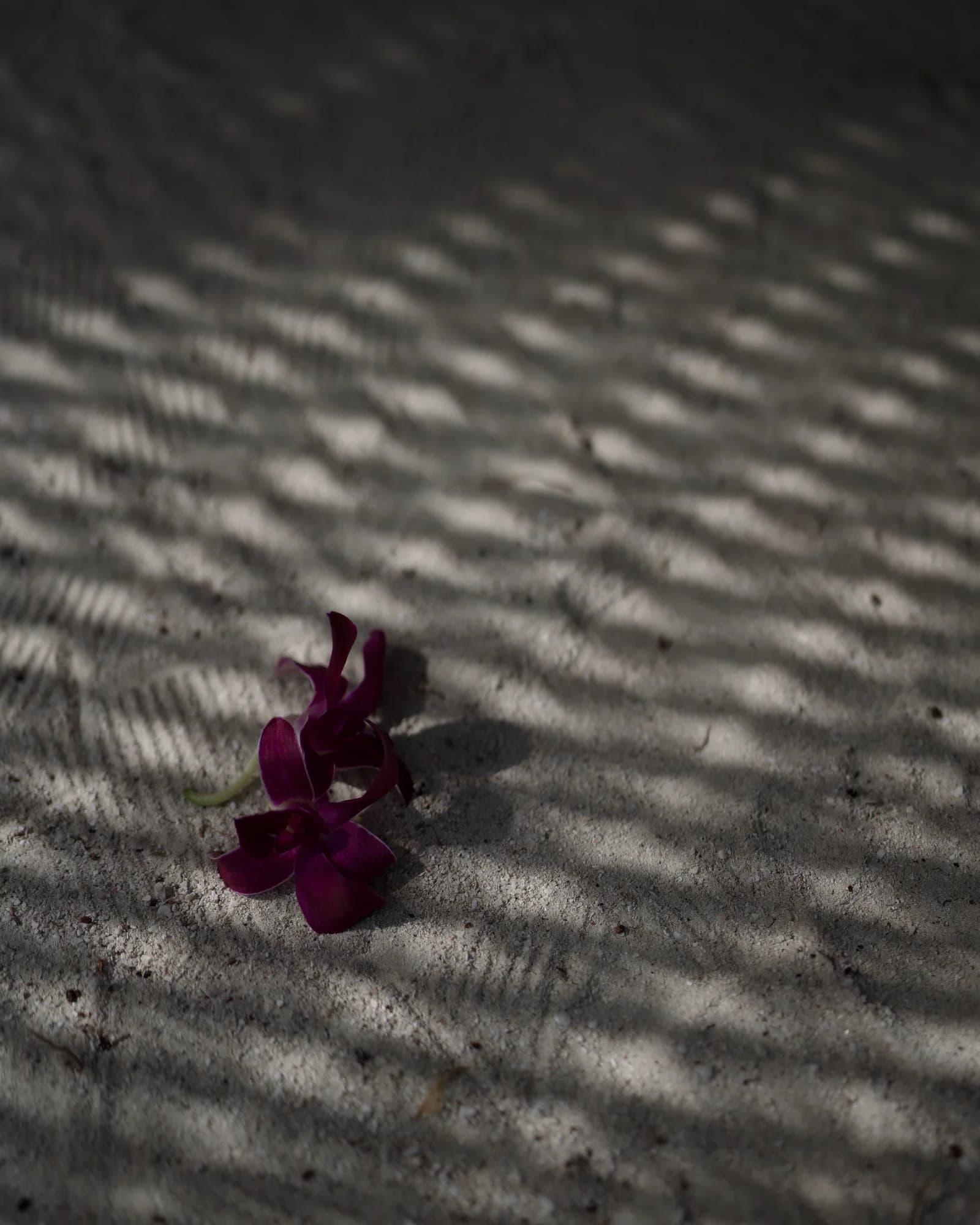 Image 87