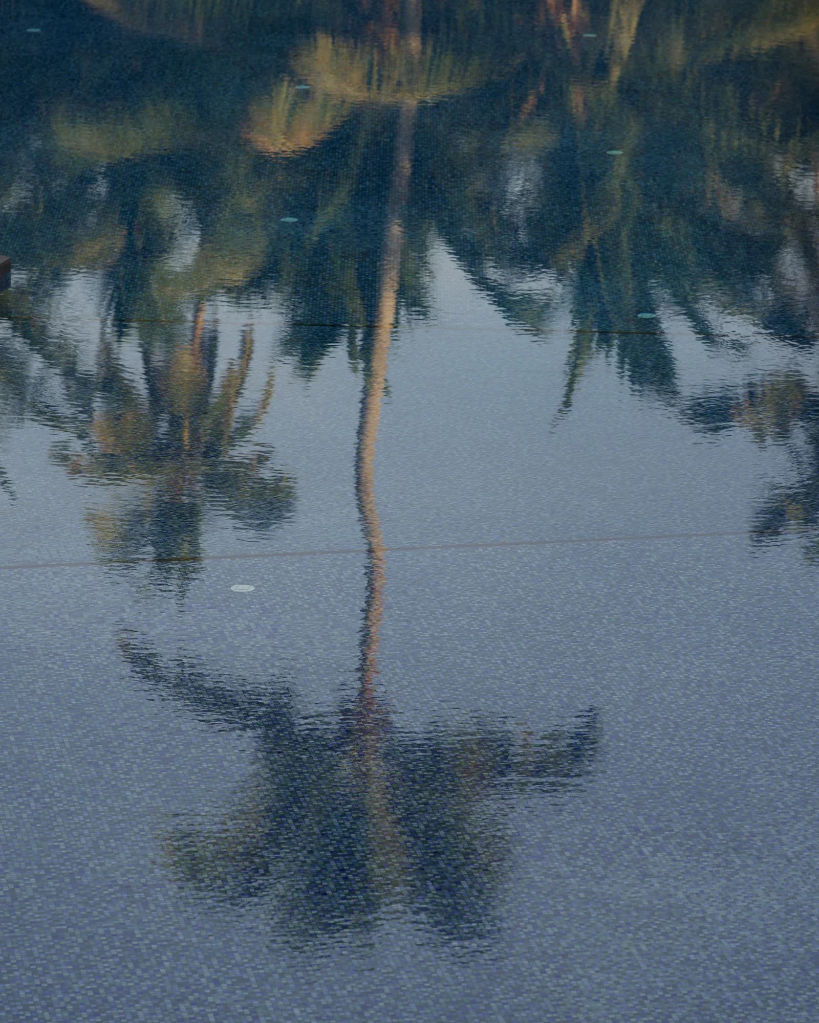 Image 37