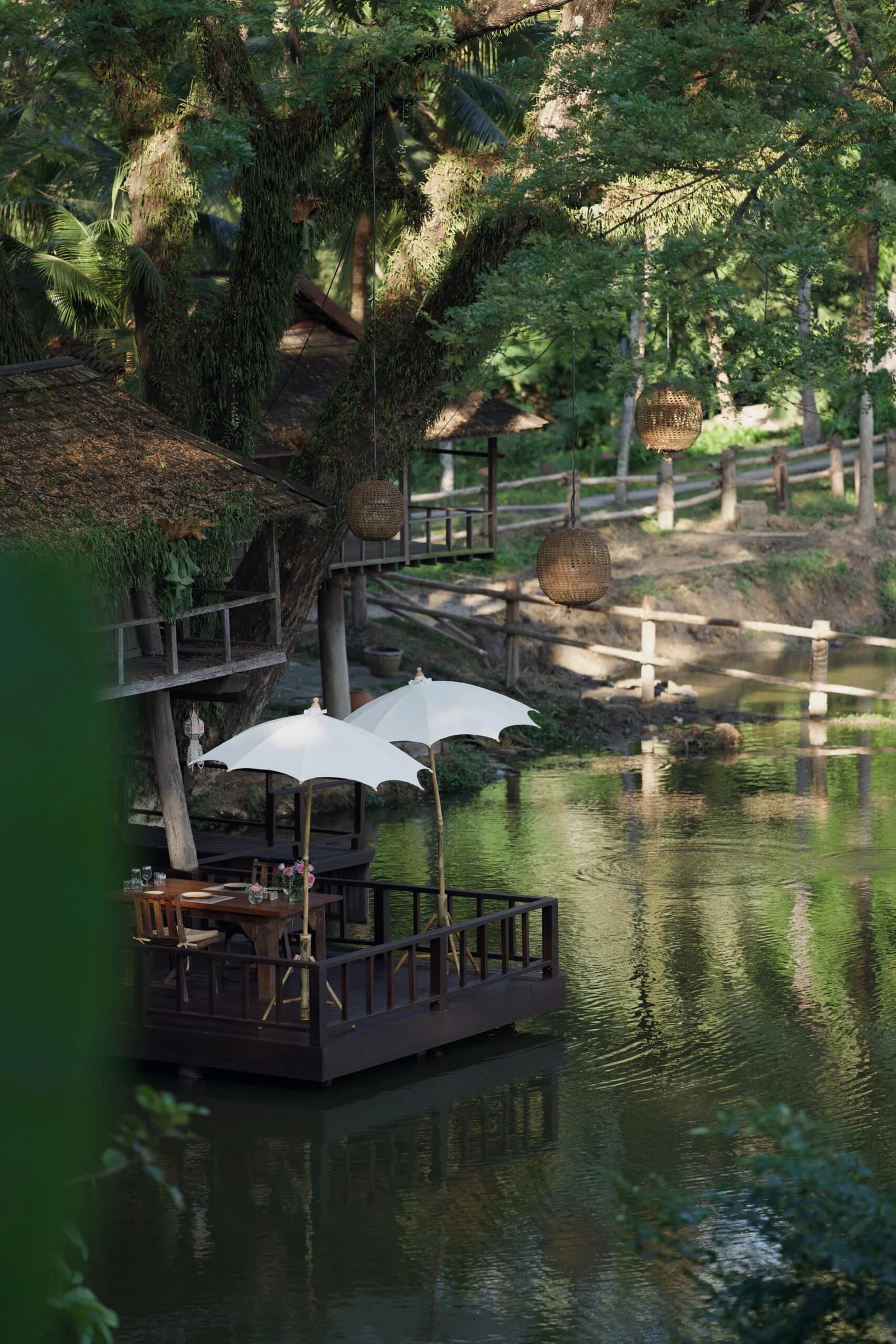 Contact Mariia Balandina